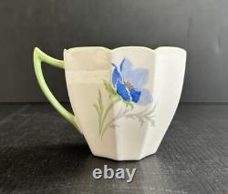 17 Pics Antique Shelley England Bone China Queen Anne Floral Tea Set