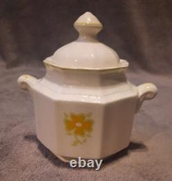 25 Piece Dishware Set Kensington Staffordshire Ironstone England Piccadilly 1822