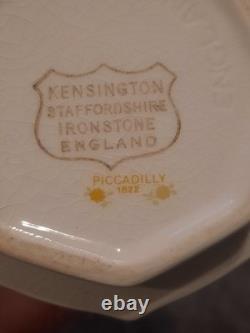 25 Piece Dishware Set Kensington Staffordshire Ironstone England Piccadilly 1822