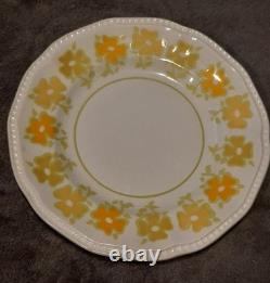 25 Piece Dishware Set Kensington Staffordshire Ironstone England Piccadilly 1822