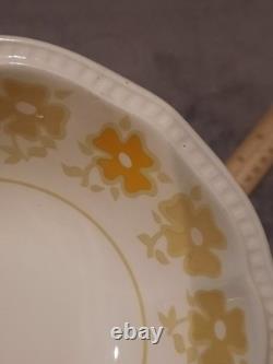 25 Piece Dishware Set Kensington Staffordshire Ironstone England Piccadilly 1822