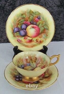 3 Pc. Vintage Aynsley Orchard Fruits D Jones Fine Bone China Tea Cup & Saucer