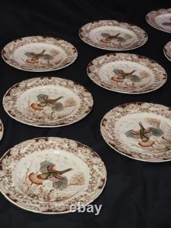 34 Piece Set Johnson Brothers Windsor Ware Wild Turkeys China Set
