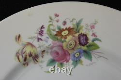 35 Pc Coalport Bone China JUNETIME withSmooth Rim, Service for 8, England (150)