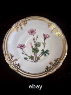 5 Pc Spode Fine Bone China England Stafford Flowers Dinner Plate Place Setting