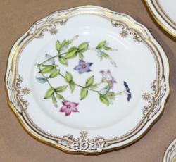 5 Pc Spode Fine Bone China England Stafford Flowers Dinner Plate Place Setting