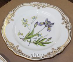 5 Pc Spode Fine Bone China England Stafford Flowers Dinner Plate Place Setting