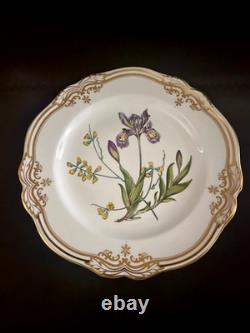 5 Pc Spode Fine Bone China England Stafford Flowers Dinner Plate Place Setting