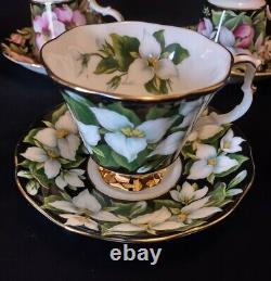 5 sets Royal Albert Provincial Flowers Bone China Tea Cup Saucer England 10pc