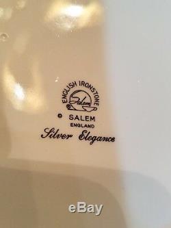 58 Pc Dinnerware Set English Ironstone Silver Elegance Salem Fine China England