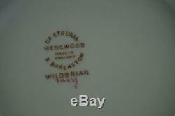 60 Pcs Wedgwood Wildbriar England China Set Service For 8 Plus Extras