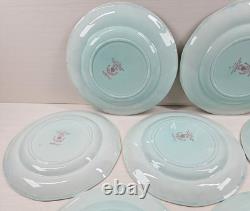 7 Adams China Singapore Bird Luncheon Plates Set Vintage Floral Old England Lot