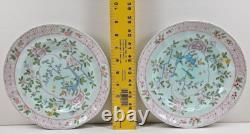 7 Adams China Singapore Bird Luncheon Plates Set Vintage Floral Old England Lot