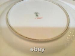Antique STAFFORDSHIRE Dinner Plates CROWN Fine Bone China set -11 England RARE
