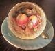 Aynsley Orchard Fruit Gold Teacup And Saucer