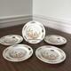 Brand NEW withsticker Aynsley Cottage Garden Bone China Set of 5 Bread Plates