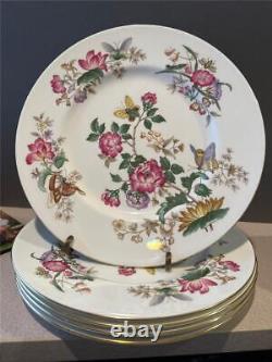 Charnwood by Wedgewood Set of 5 Bone China 10 3/4 Dinner Plates Made in England