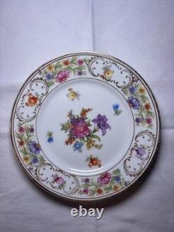 Dresden Spray by Hammersley Antique Bone China England