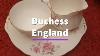 Duchess Bone China England