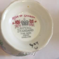 Fine Demitasse Coffee Tea Set For 6 Sharon Rose By Royal Standard England
