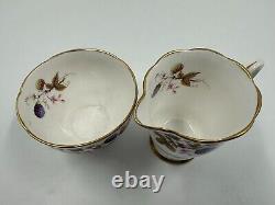 Golden Bramble Royal Stafford England Made Bone China Tea Cup 7 Piece Set