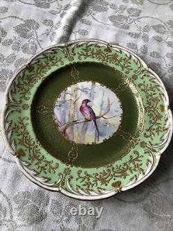 Gorgeous Antique Coalport England Set Of 8 Cabinet Plates w. Hand painted Birds