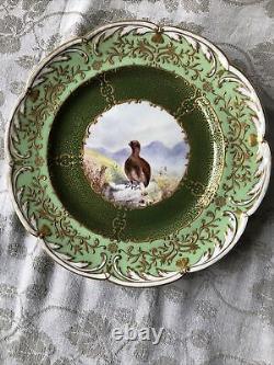 Gorgeous Antique Coalport England Set Of 8 Cabinet Plates w. Hand painted Birds