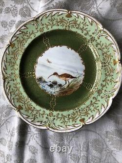 Gorgeous Antique Coalport England Set Of 8 Cabinet Plates w. Hand painted Birds