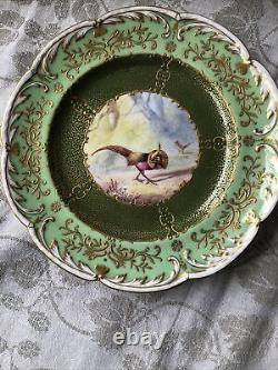 Gorgeous Antique Coalport England Set Of 8 Cabinet Plates w. Hand painted Birds