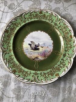 Gorgeous Antique Coalport England Set Of 8 Cabinet Plates w. Hand painted Birds