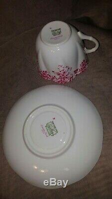 Gorgeous Shelley Dainty Pink Flowers Teacup And Saucer Set Bone China England