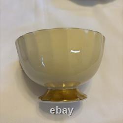 J A Bailey Aynsley England Bone China Cabbage Rose Gold Accent Tea Cup & Saucer