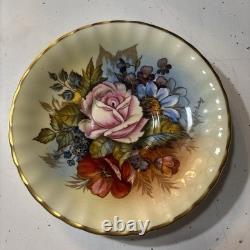 J A Bailey Aynsley England Bone China Cabbage Rose Gold Accent Tea Cup & Saucer