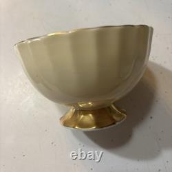 J A Bailey Aynsley England Bone China Cabbage Rose Gold Accent Tea Cup & Saucer