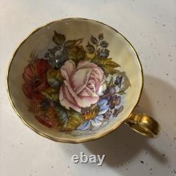 J A Bailey Aynsley England Bone China Cabbage Rose Gold Accent Tea Cup & Saucer