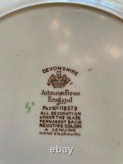 Johnson Brothers DEVONSHIRE, Brown Multicolor, Gadroon Edge 41 pieces