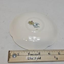 Johnson Brothers England Yale Pareek 45 Piece Dinner Set for 6 Place Settings