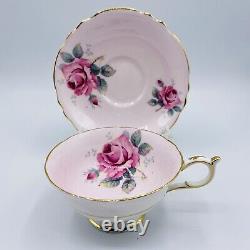 PARAGON Double Warrant Pink Cabbage Rose on Pink Tea Cup & Saucer Set Gold Rare