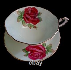 Paragon Fine Bone China England Cabbage Roses Baby Blue Teacup Saucer Set