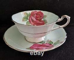 Paragon Fine Bone China England Cabbage Roses Baby Blue Teacup Saucer Set