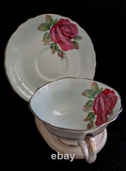 Paragon Fine Bone China England Cabbage Roses Baby Blue Teacup Saucer Set