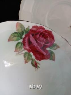 Paragon Fine Bone China England Cabbage Roses Baby Blue Teacup Saucer Set