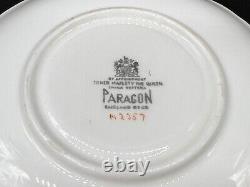 Paragon Mint A2257 Hand Painted Orchard Tea Cup Saucer Set Bone China England