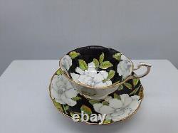 Paragon Teacup & Saucer Fine China England Black Ground White Gardenias