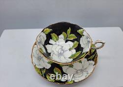 Paragon Teacup & Saucer Fine China England Black Ground White Gardenias