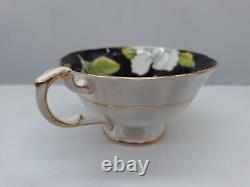 Paragon Teacup & Saucer Fine China England Black Ground White Gardenias