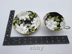 Paragon Teacup & Saucer Fine China England Black Ground White Gardenias