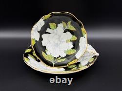 Paragon White Rose Black Tea Cup Saucer Set Bone China England