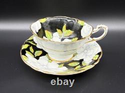 Paragon White Rose Black Tea Cup Saucer Set Bone China England