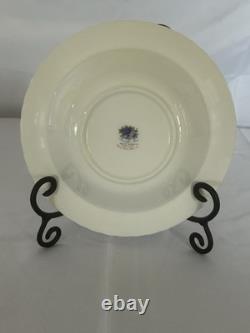 ROYAL ALBERT VINTAGE 1987 MOONLIGHT ROSE 5 PIECE PLATE SETTING Never used